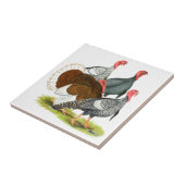 Carreau Quartet de Turquie rare (Côté)