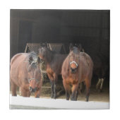 Carreau Quatre chevaux (Devant)