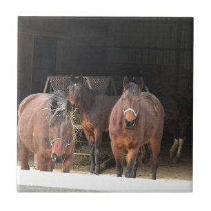 Carreau Quatre chevaux