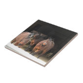 Carreau Quatre chevaux (Côté)