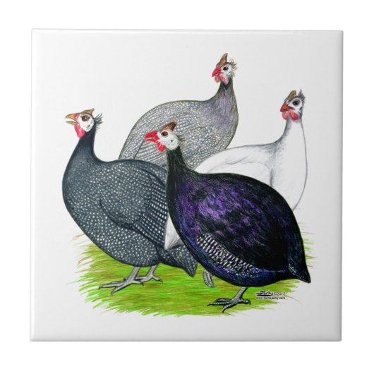 Carreau Quatre Guinée (Devant)