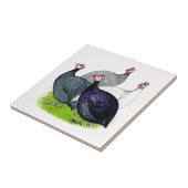 Carreau Quatre Guinée (Côté)