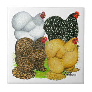 Carreau Quatre poules de Cochin