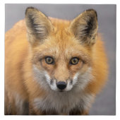 Carreau Quels grands yeux avez-vous (Devant)