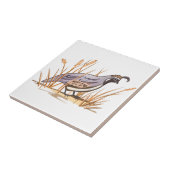 Carreau Queue (Côté)