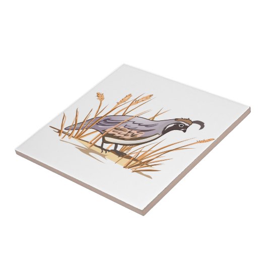 Carreau Queue (Côté)