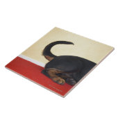 Carreau Queue de remuement de rottweiler, section de (Côté)