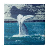 Carreau Queue de veau de baleine - Argentine (Devant)