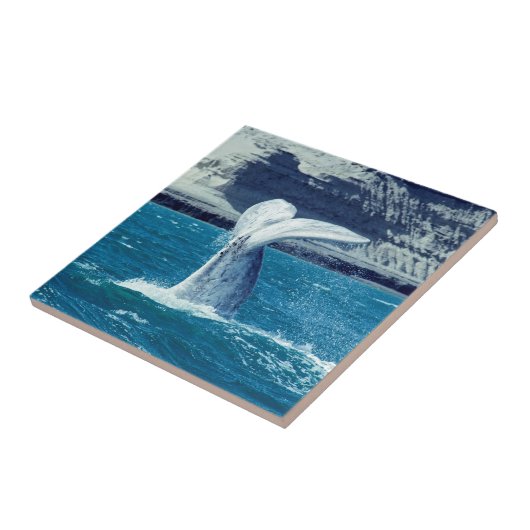 Carreau Queue de veau de baleine - Argentine (Côté)