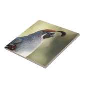 Carreau Queue masculine (Côté)