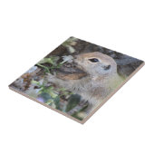 Carreau Queue Ronde Sécureuil de fond qui sent les fleurs (Côté)