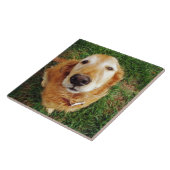 Carreau Qui est un bon garçon ? (Côté)