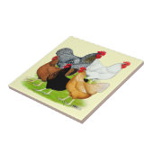 Carreau Quintette de poulet liée au sexe (Côté)