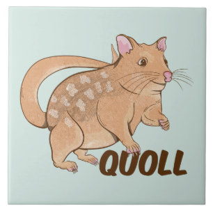 Carreau Quoll Australian Marsupial