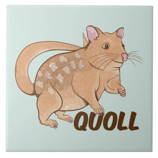 Carreau Quoll Australian Marsupial (Devant)