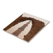 Carreau Qutub Minar à Delhi (Côté)