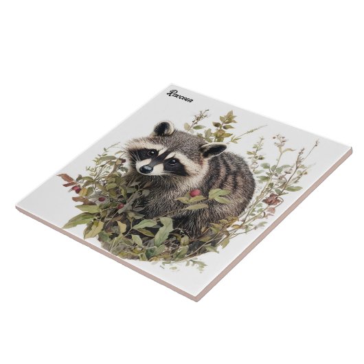 Carreau Raccoon (Côté)