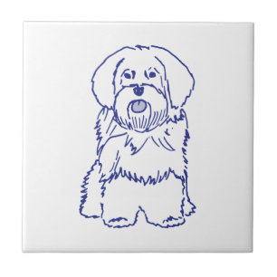Carreau Race de chien Havanese