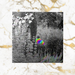 Carreau Rainbow Garden Visiteur Carrelage décoratif