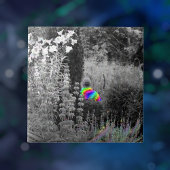 Carreau Rainbow Garden Visiteur Carrelage décoratif