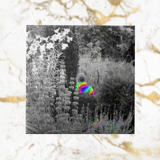 Carreau Rainbow Garden Visiteur Carrelage décoratif