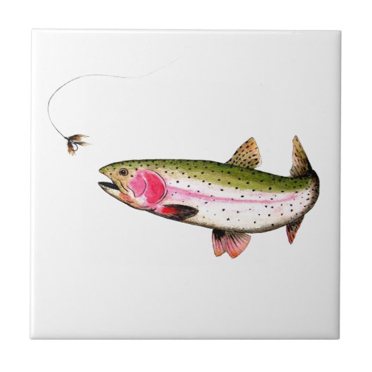 Carreau Rainbow Trout Fly (Devant)