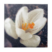 Carreau Rainy Day Crocus (Devant)