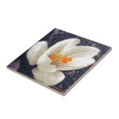 Carreau Rainy Day Crocus (Côté)