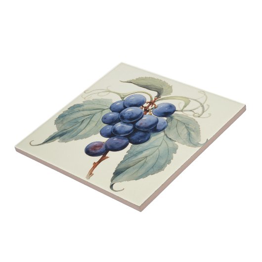 Carreau Raisins (Côté)