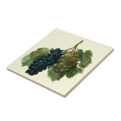 Carreau Raisins de la Renaissance par Jacques le Moyne (Côté)