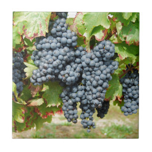 Carreau Raisins de vin français