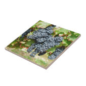 Carreau Raisins de vin français (Côté)