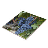 Carreau Raisins de vin rouge sur la vigne (Côté)