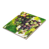 Carreau Raisins merveilleux de vigne, nature, automne Sun (Côté)