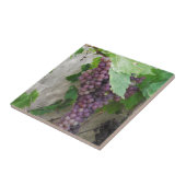 Carreau Raisins pourpres sur la vigne (Côté)