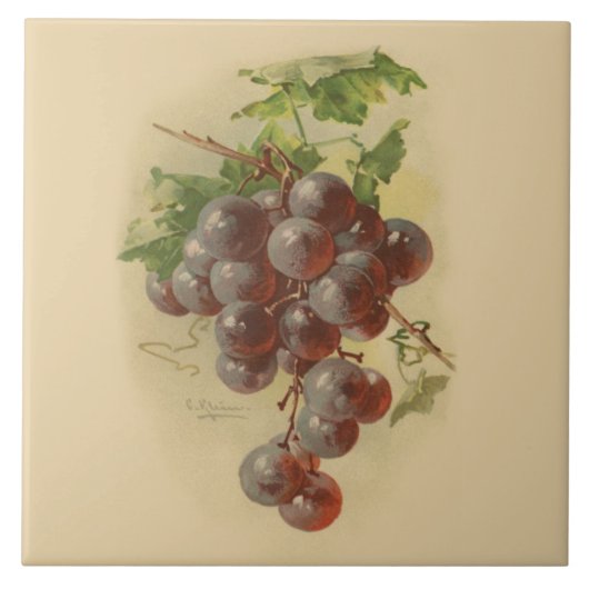 Carreau Raisins vintages (Devant)