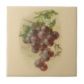 Carreau Raisins vintages (Devant)