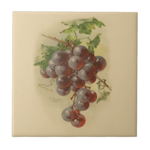 Carreau Raisins vintages