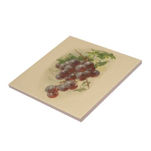 Carreau Raisins vintages (Côté)