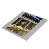 Carreau Ranch Can (Côté)