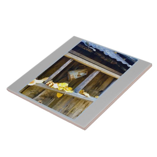 Carreau Ranch Can (Côté)