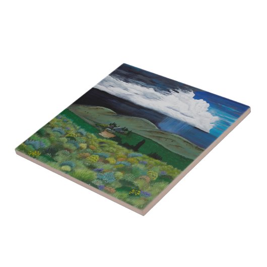 Carreau Ranch impérial (Côté)