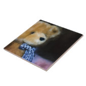 Carreau Randolph - Profil (Côté)