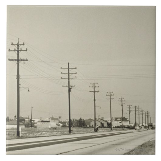Carreau Rangée de l'électricité Polonais (Devant)