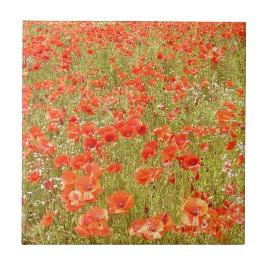 CARREAU RAPPELEZ-VOUS MOI TUILE (Devant)