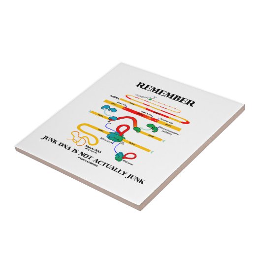 Carreau Rappelez-vous qu'ADN d'ordure n'est pas en fait (Côté)