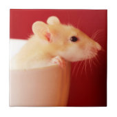 Carreau Rat de bébé (Devant)