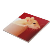 Carreau Rat de bébé (Côté)