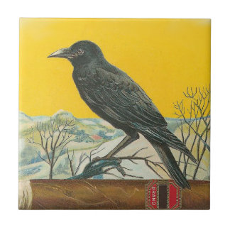 Carreau Raven