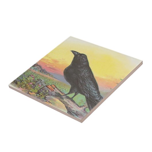 Carreau Raven (Côté)